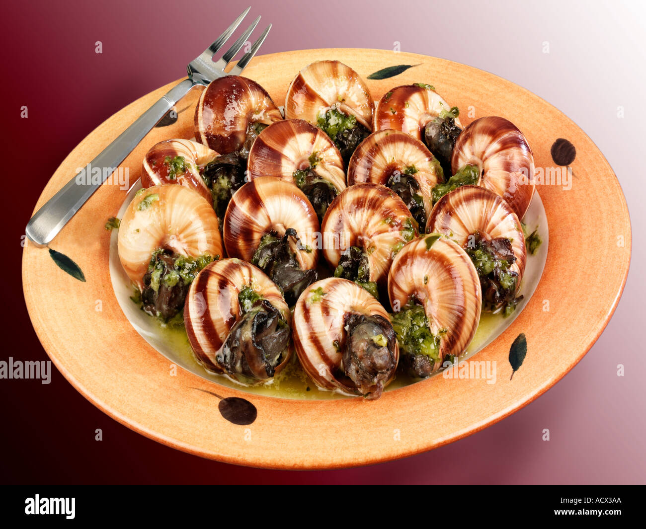 SNAILS ESCARGOT CUT OUT Stock Photo Alamy