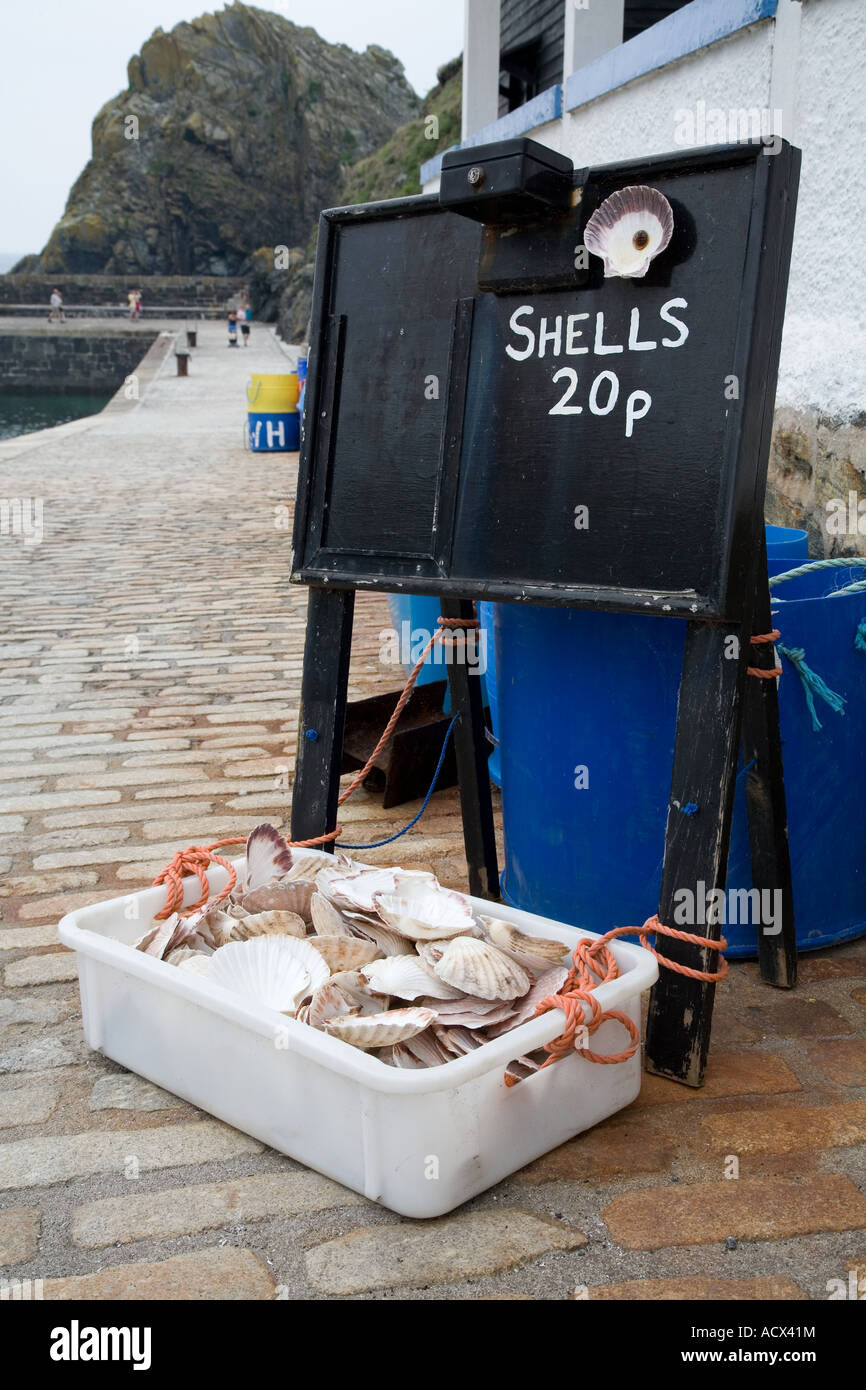 Shells for Sale, Mullion Cove, Cornwall Stock Photo Alamy