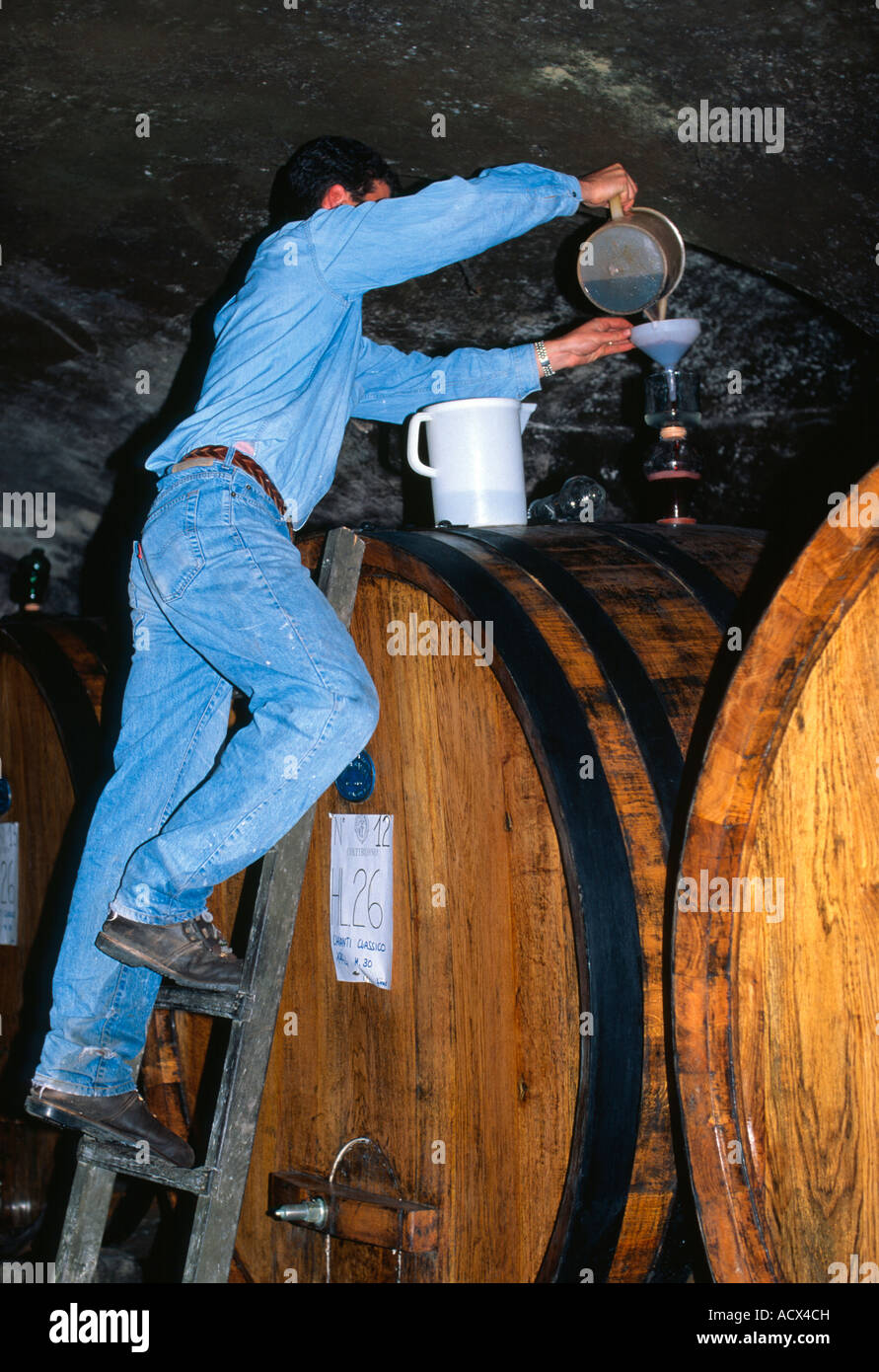 Winemaker in cellar Chianti Classico wine cask Tuscany Italy Stock Photo