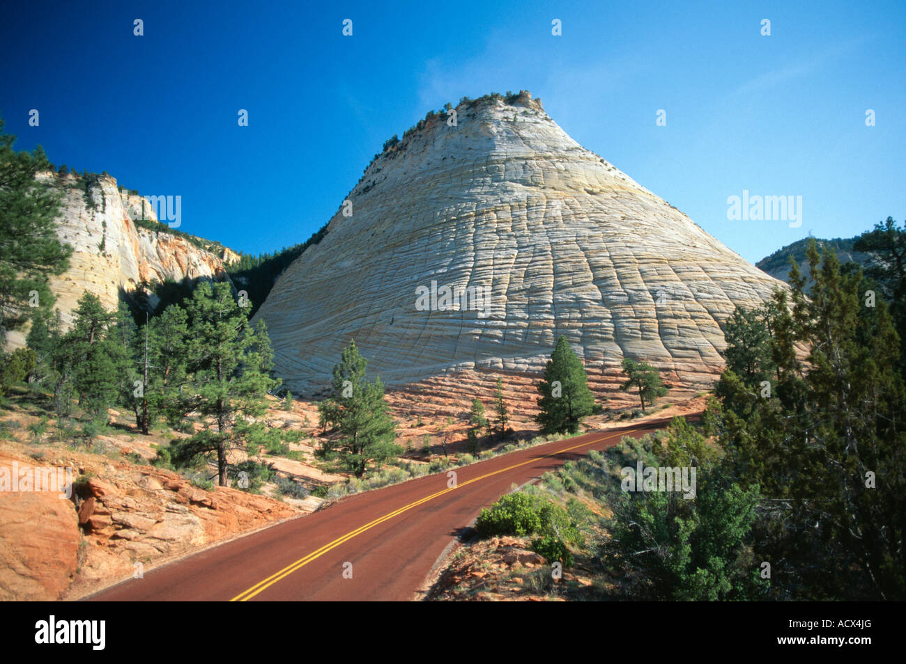 Red Road Checkerboard Mesa Zion National Park Utah USA Stock Photo - Alamy
