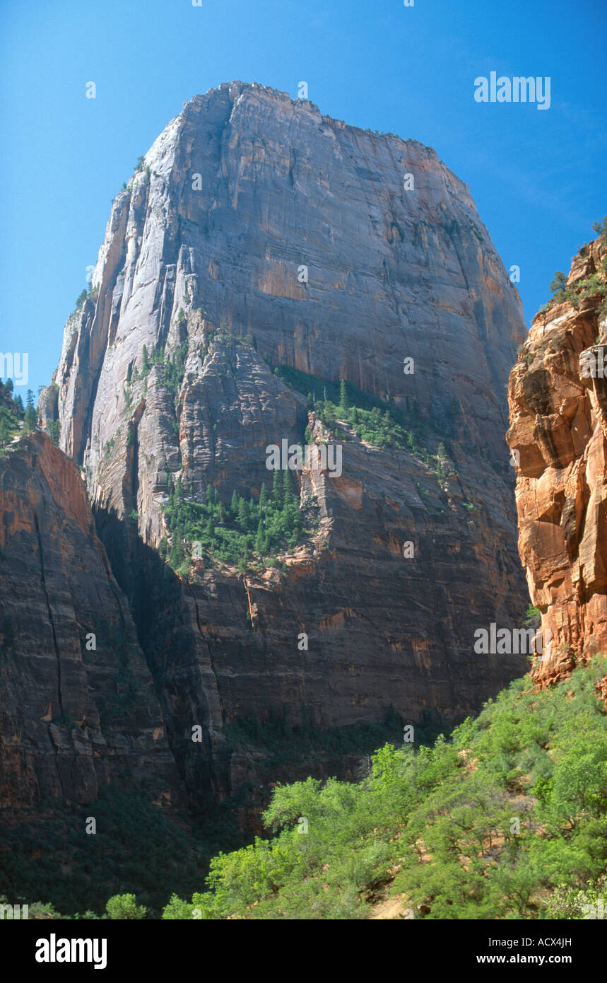 The Great White Throne Zion National Park Utah USA Stock Photo Alamy