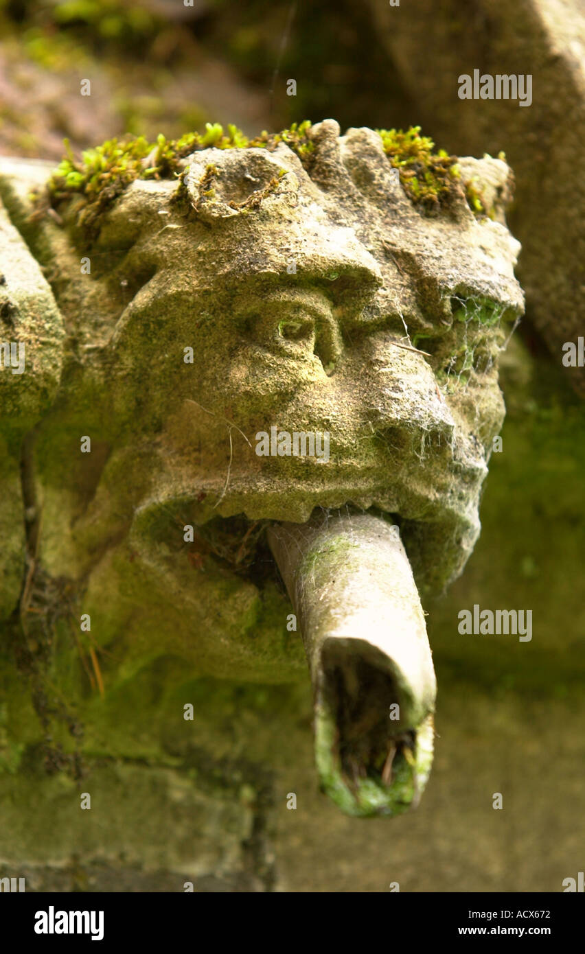 A GARGOYLE DOUBLING AS A RAIN WATER SPOUT ON LITTLEDEAN HALL IN THE FOREST OF DEAN GLOUCESTERSHIRE UK Stock Photo