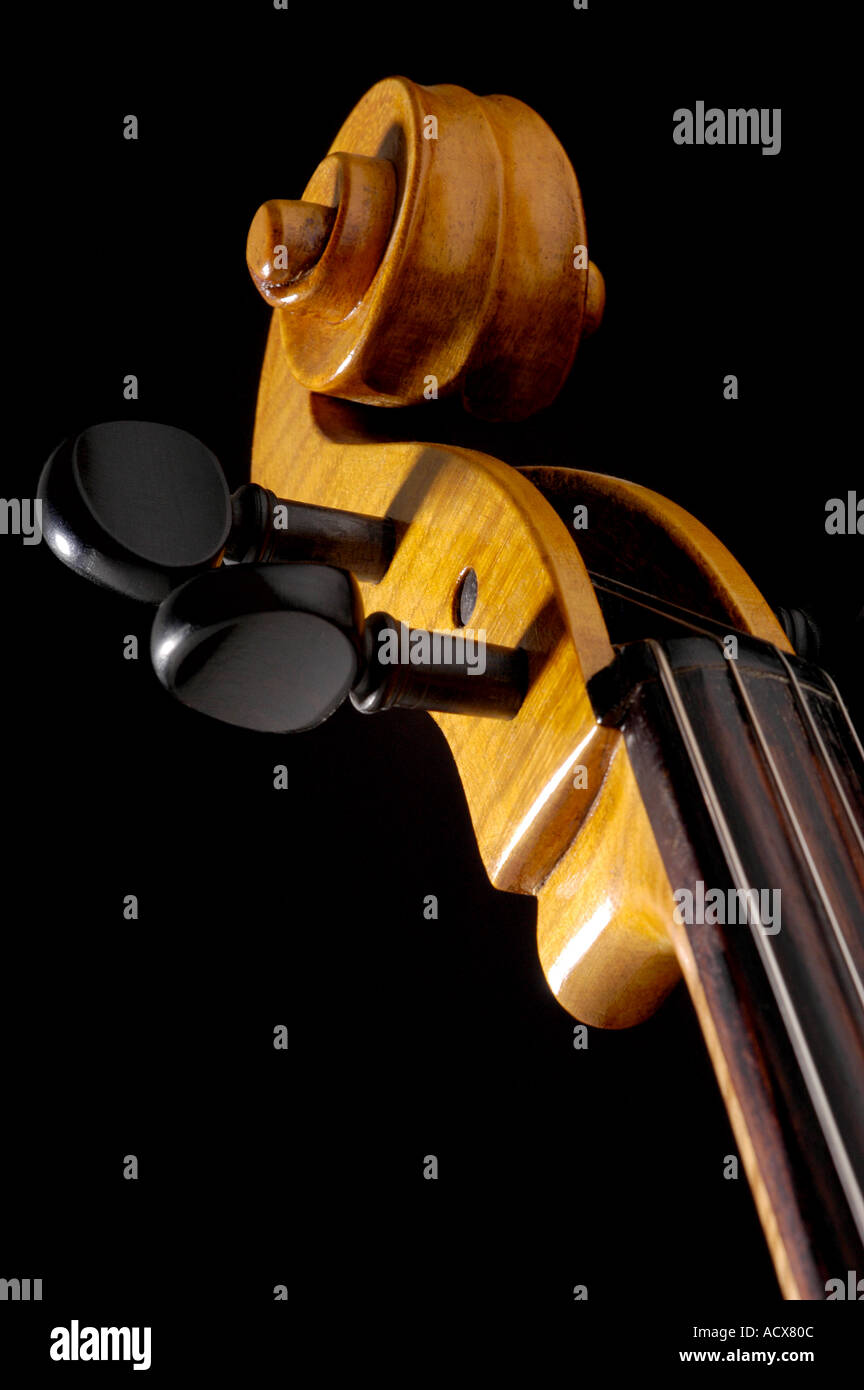 Close up of cello peg box and scroll Stock Photo Alamy