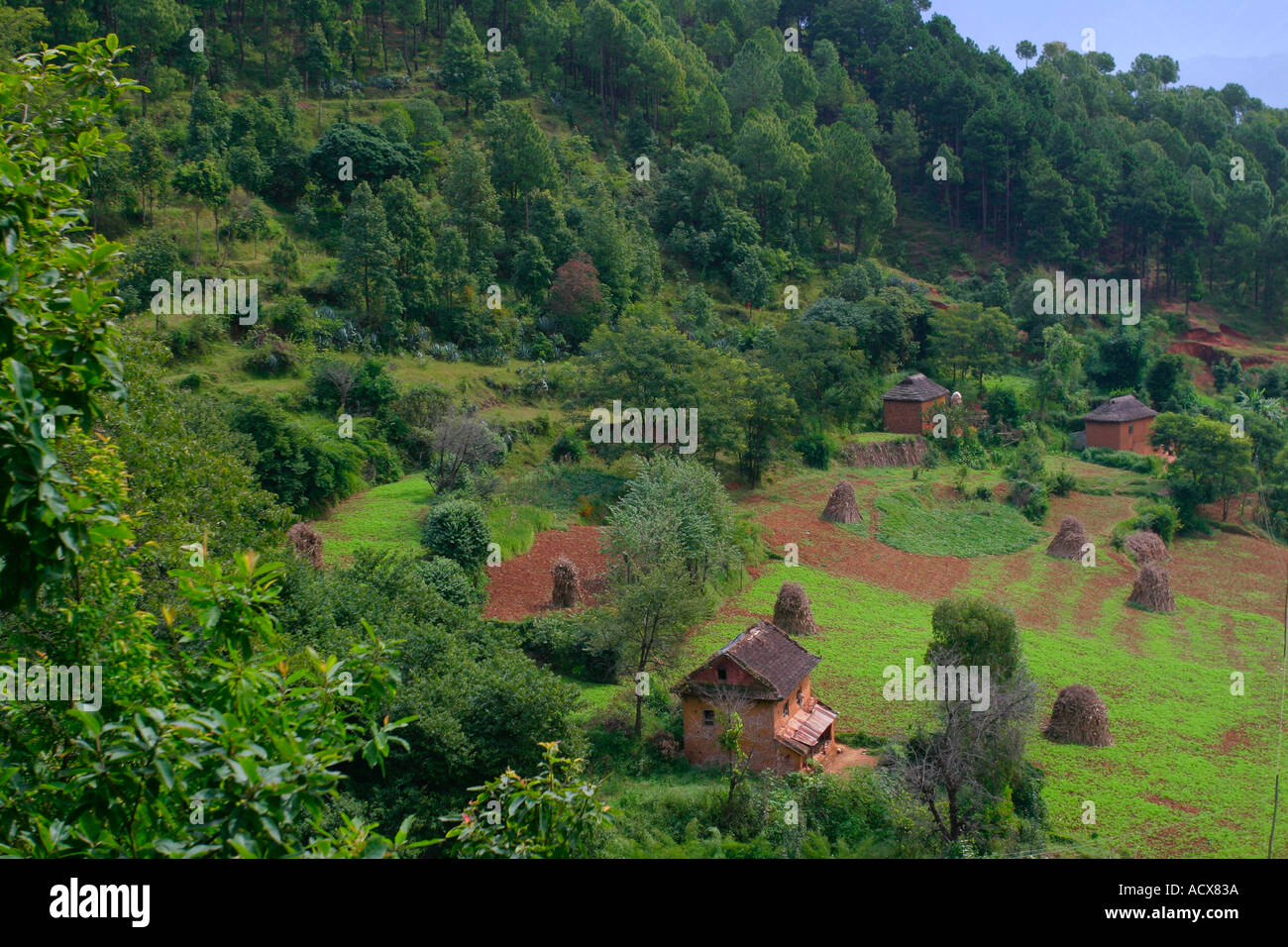 Village in the Kathmandu valley Stock Photo Alamy