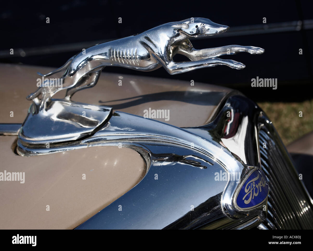 The greyhound hood ornament and emblem on the nose of a vintage Ford  automobile ca 1935 Stock Photo - Alamy