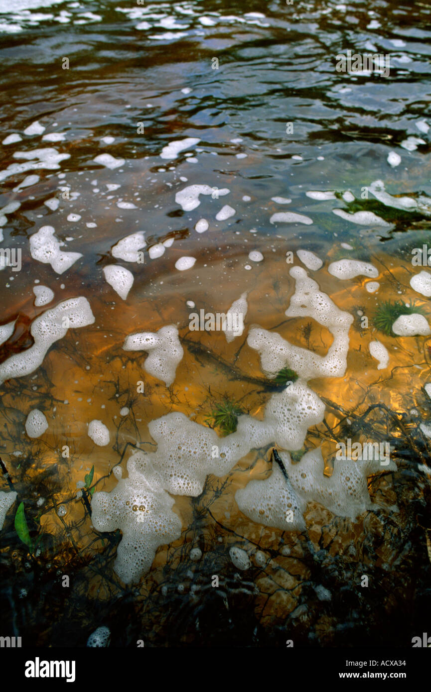 Brazil Amazon region foam on river below waterfall in rainforest Stock Photo Alamy