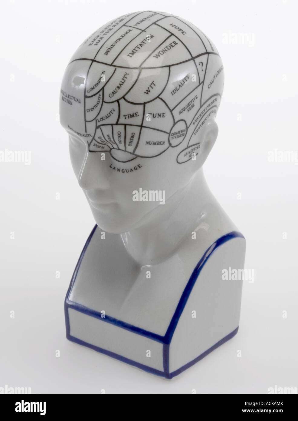 Phrenology chart model Stock Photo