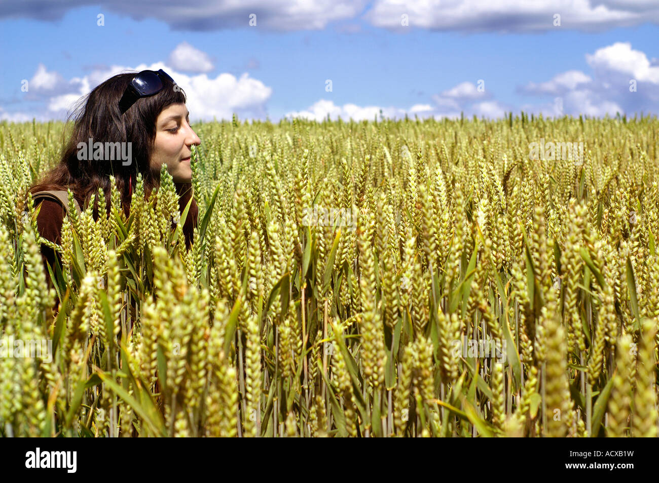 young woman standing in a corn field Stock Photo - Alamy