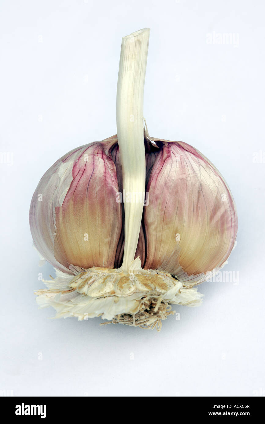 Garlic bulb in half Stock Photo Alamy