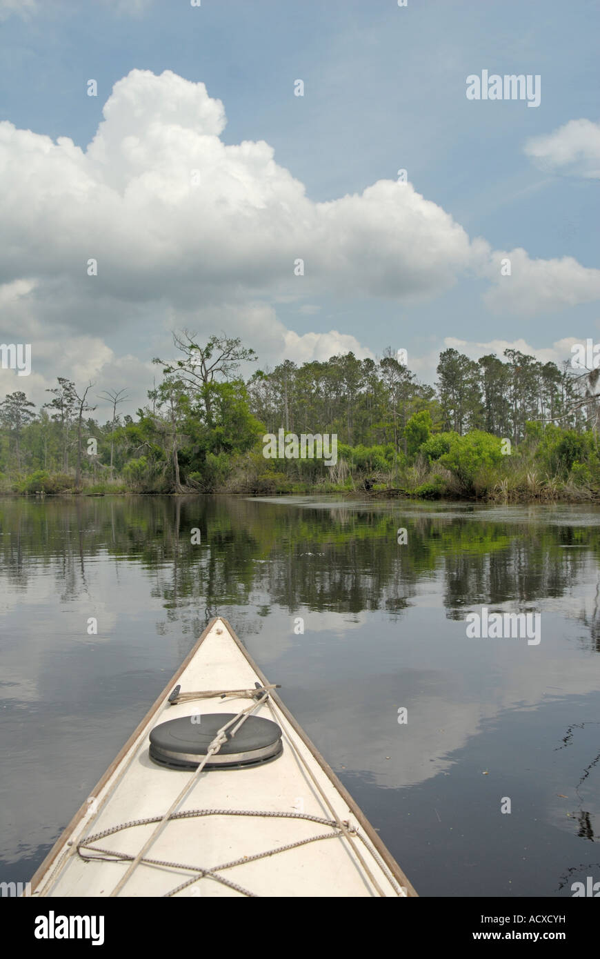 kayaking in Cane Bayou near New Orleans Louisiana Stock Photo Alamy