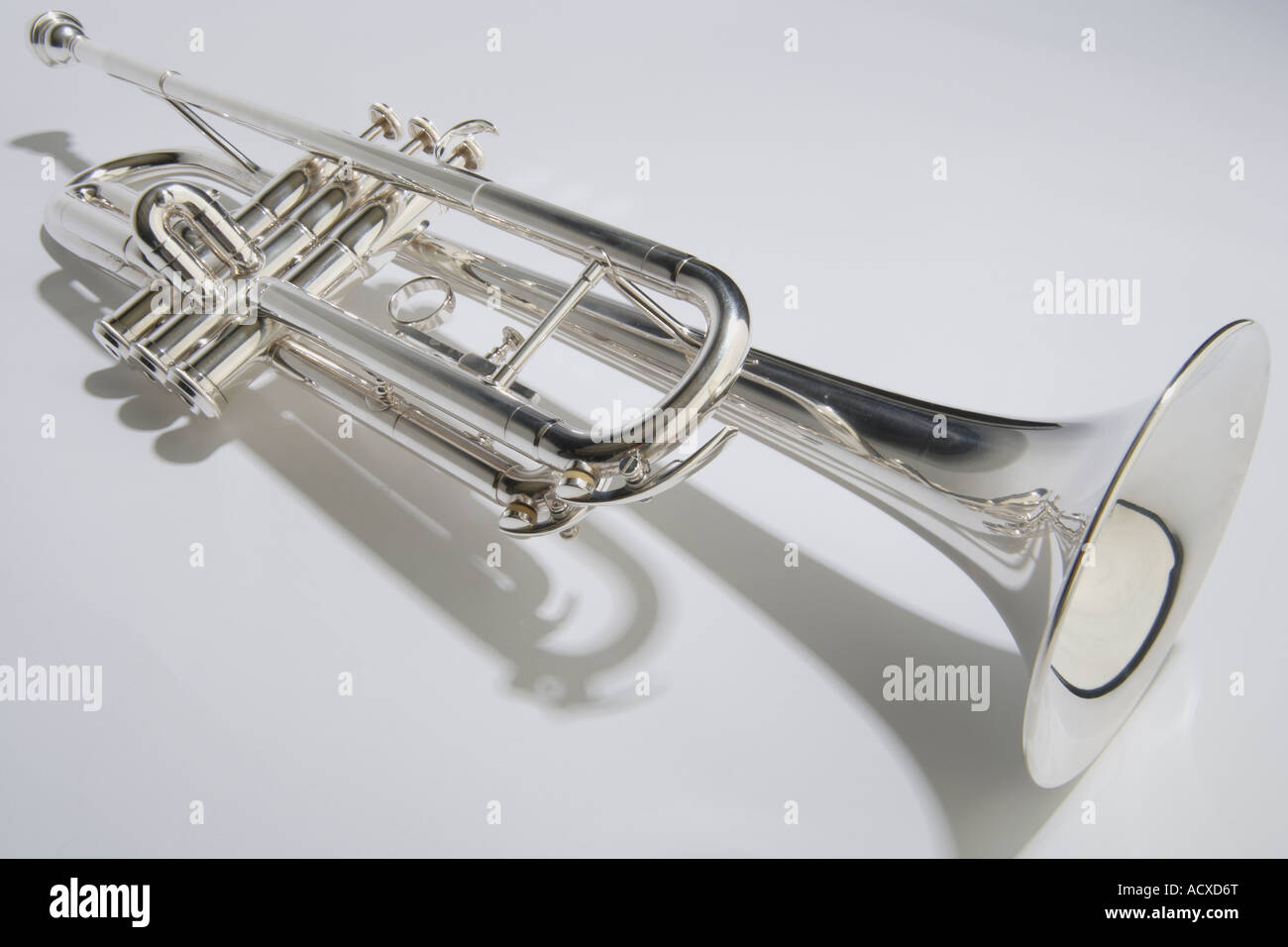 Trompette américaine Banque de photographies et d'images à haute résolution  - Alamy