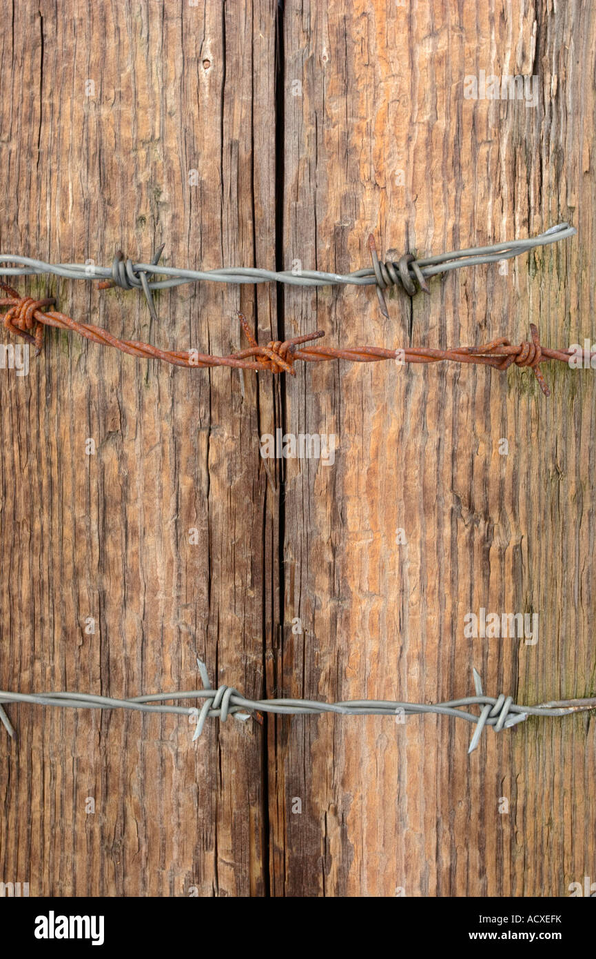 Wooden wall and barbwire at countryside in Kirkkonummi, Finland, EU. Stock Photo
