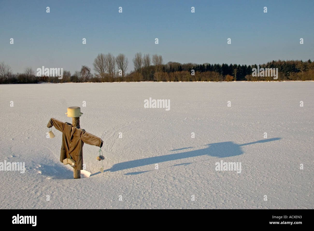 Scarecrow in winter with shadow Stock Photo