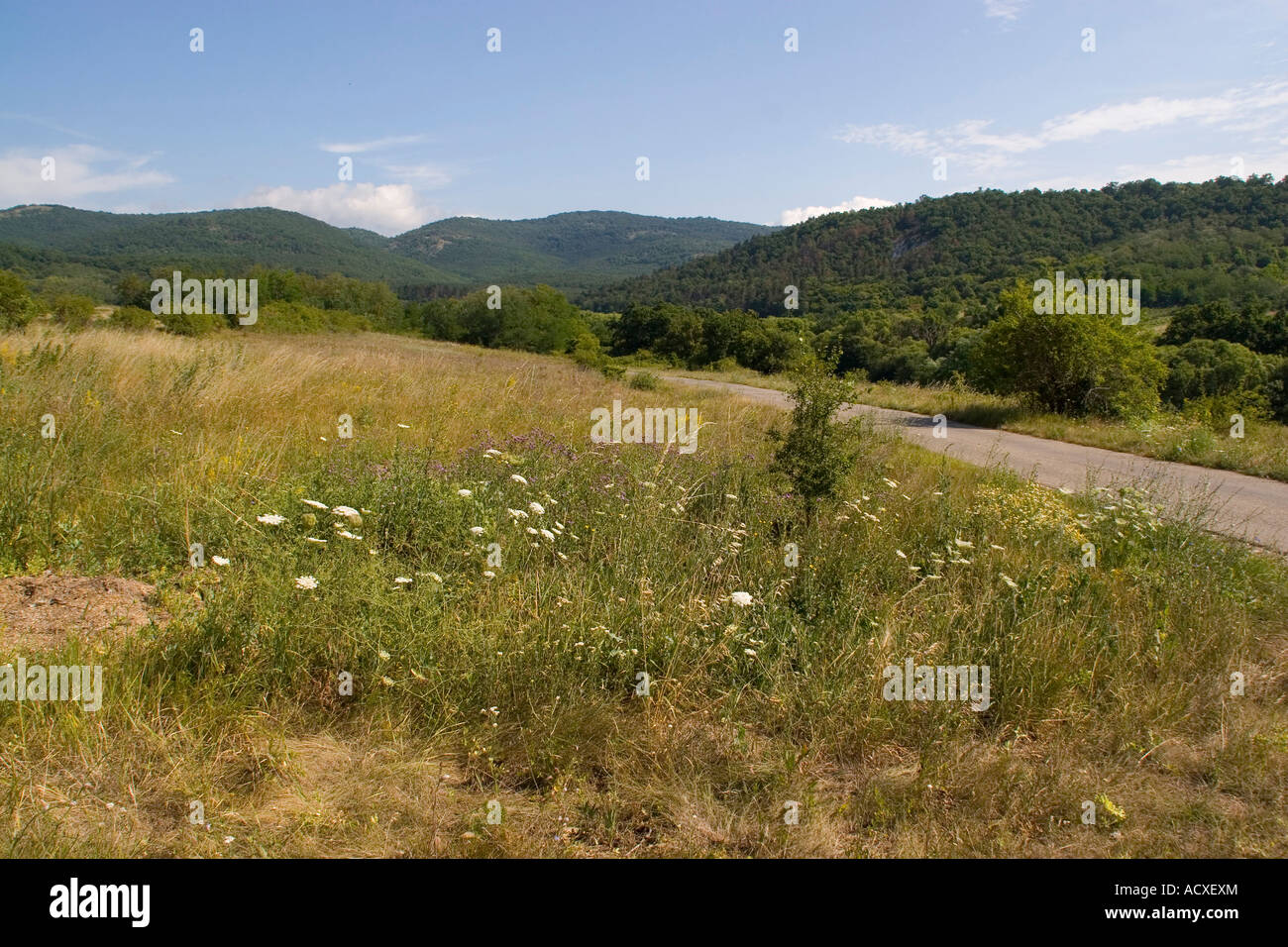 Butterfly meadows near the Hungarian village of Cserepfalu Bukk hills Stock Photo
