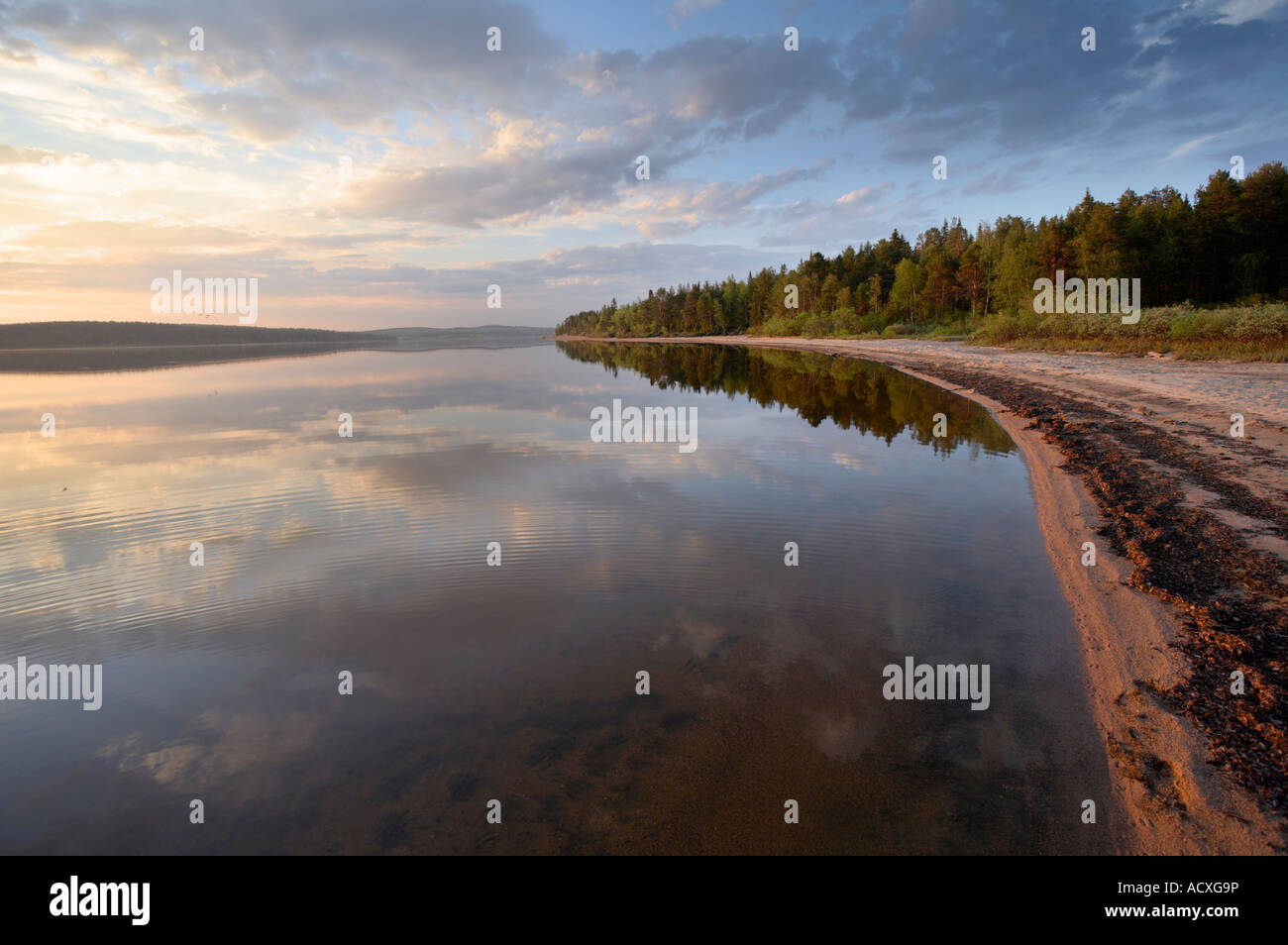 Sandy lake shore and forest at Pallasjärvi, Kittilä, Lapland, Finland Stock Photo