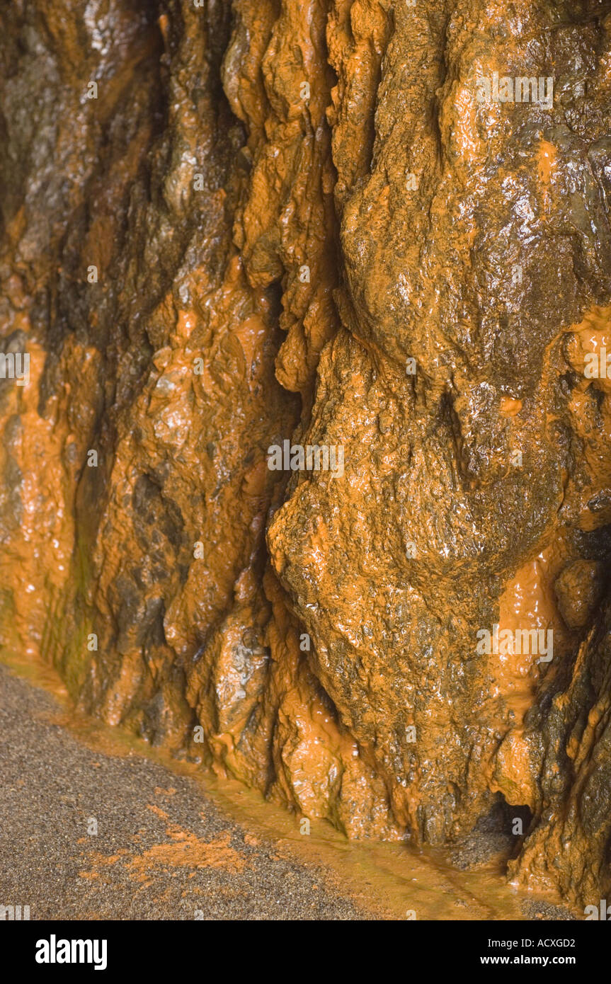 coastal cliff rocks with fresh water seeping through covered by orange iron reducing bacteria suggesting possibly polluted water Stock Photo