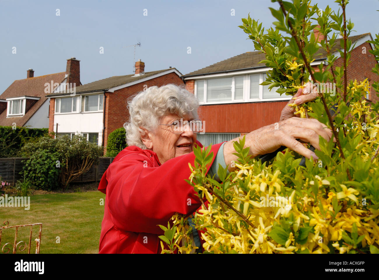 80 year old woman hi-res stock photography and images - Alamy