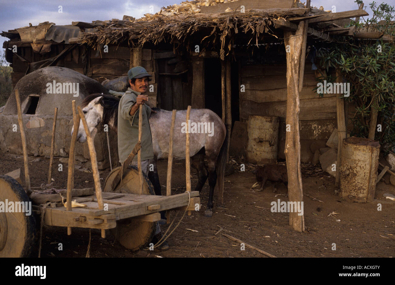 Poor peasant farmer with his donkey outside his home El Salvador Central  America Stock Photo - Alamy