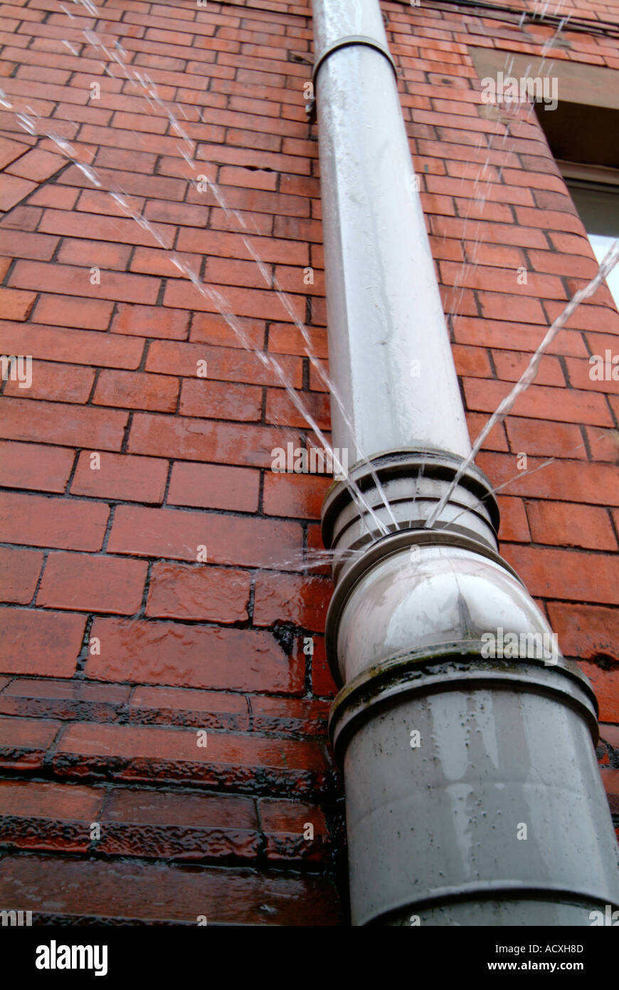 leaking drain pipe Stock Photo Alamy