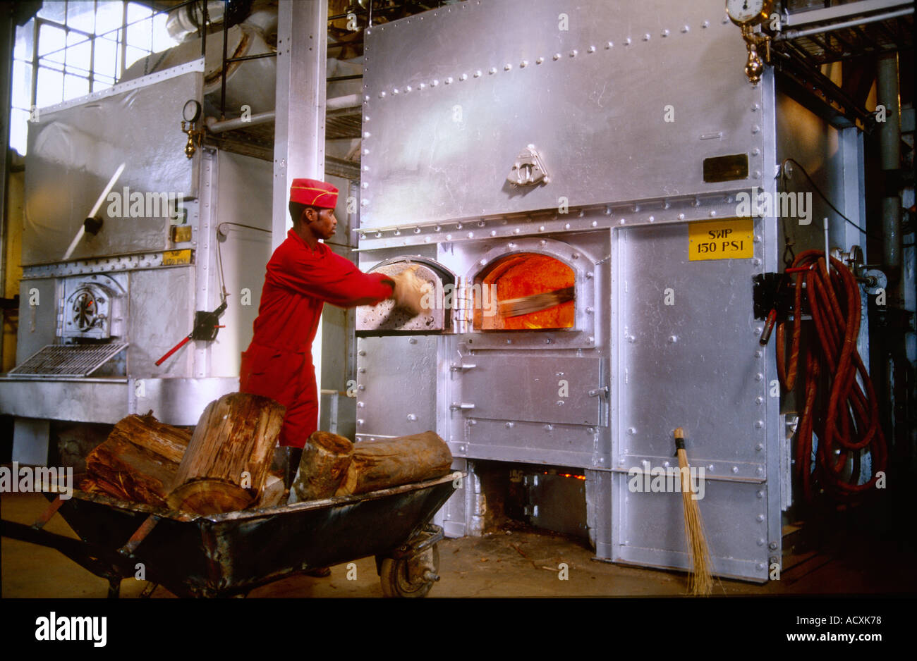 Man shovelling wood into oven for drying tea, Brooke Bond Tea Factory Plant, Kericho, Kenya Stock Photo