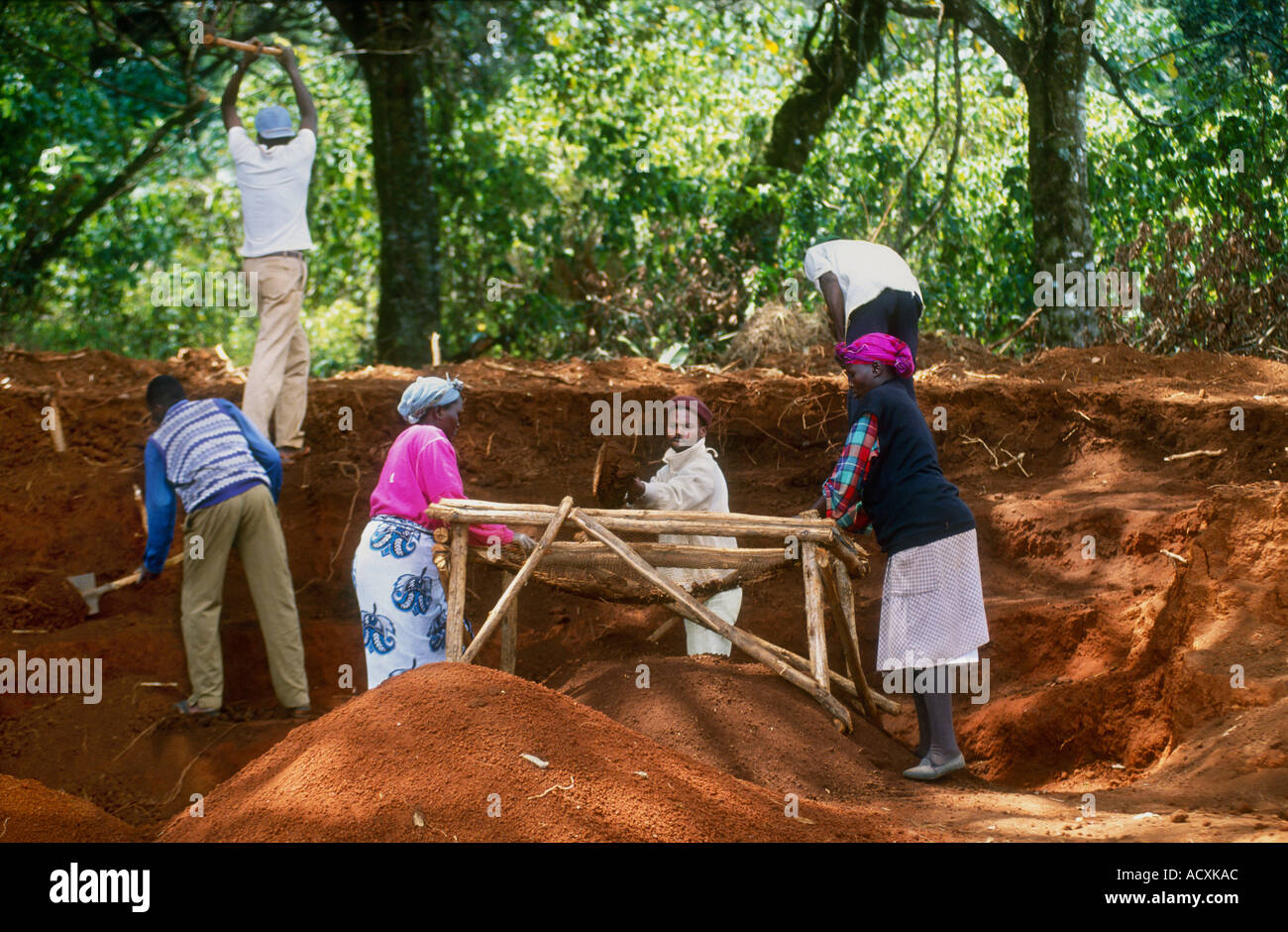 Digging and sifting the rich red soil in preparation for planting out