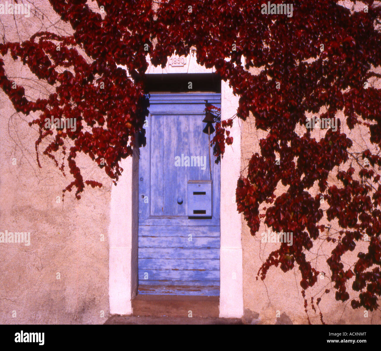 Blue Door with Red Leaves in Les Adrets L'Esterel, Var, France Stock Photo