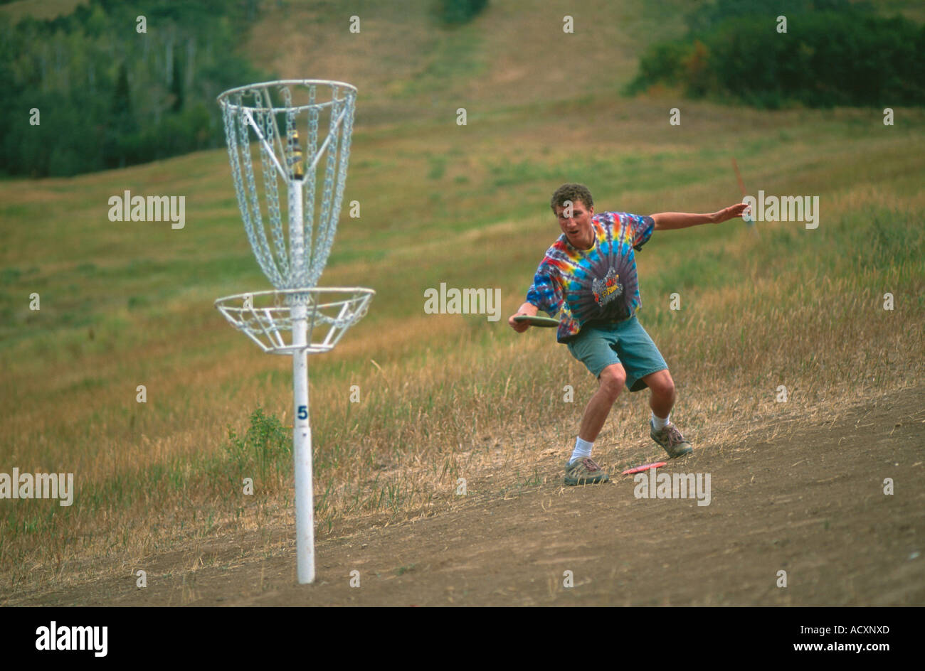 Disc Golf Putting Stock Photo Alamy