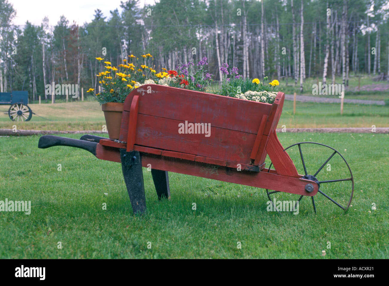 Old wheelbarrow put to use Stock Photo Alamy