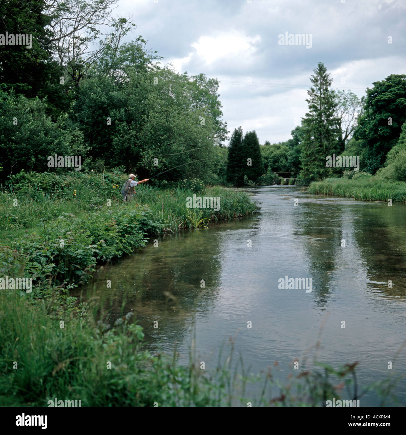 Trout fishing on River Anton Hampshire England UK Stock Photo Alamy