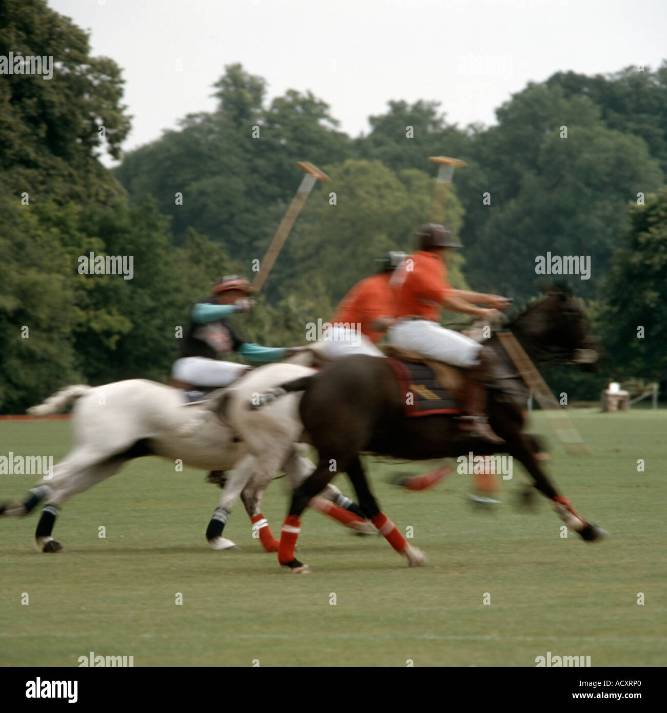 Polo ponies and players Tidworth Wiltshire England UK Stock Photo