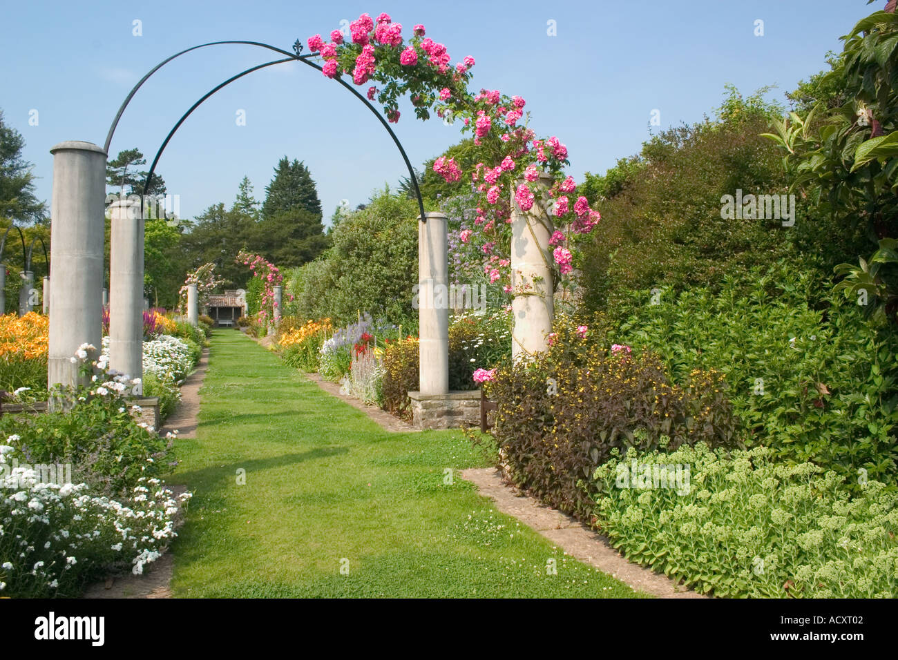 English rose border hi-res stock photography and images - Alamy
