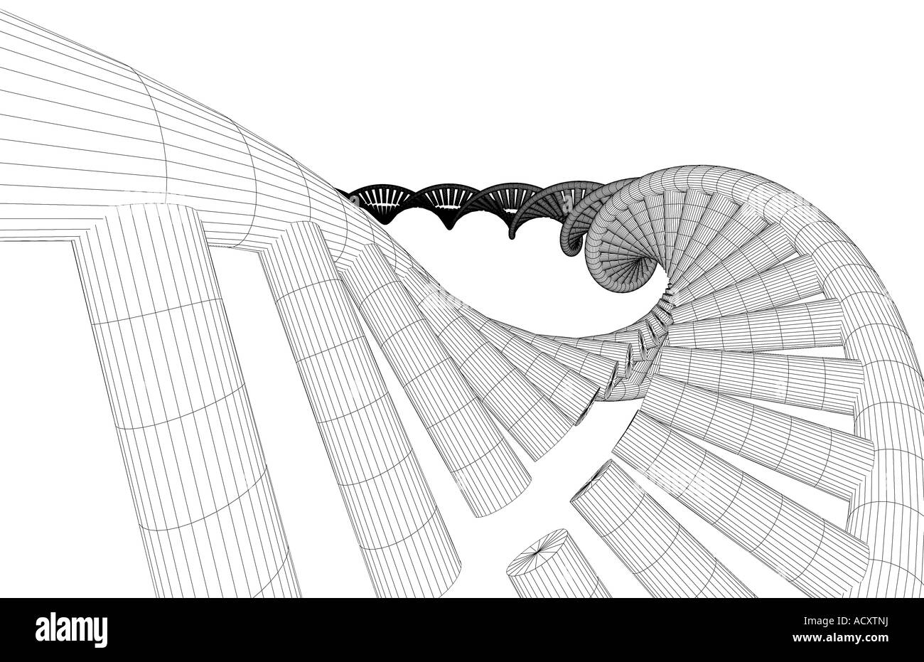 Double helix structure of the dna molecule Black and White Stock Photos ...
