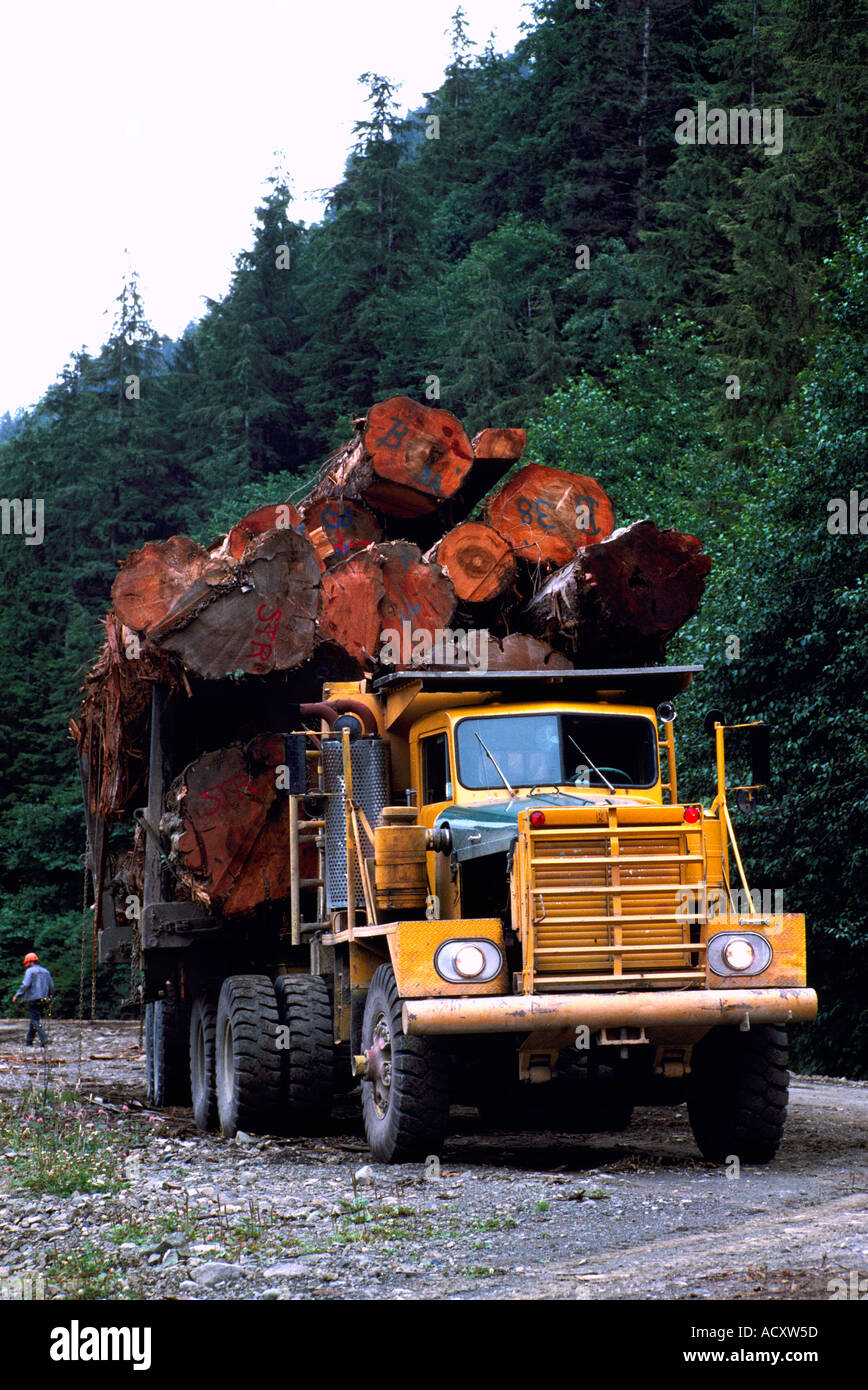 Loaded logging truck hires stock photography and images Alamy