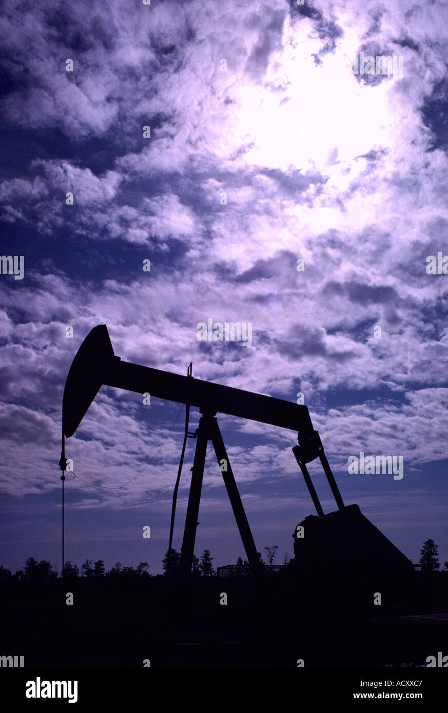 Pump Jack (Oil Donkey) pumping at Oil Well in Oil Field north of Dawson