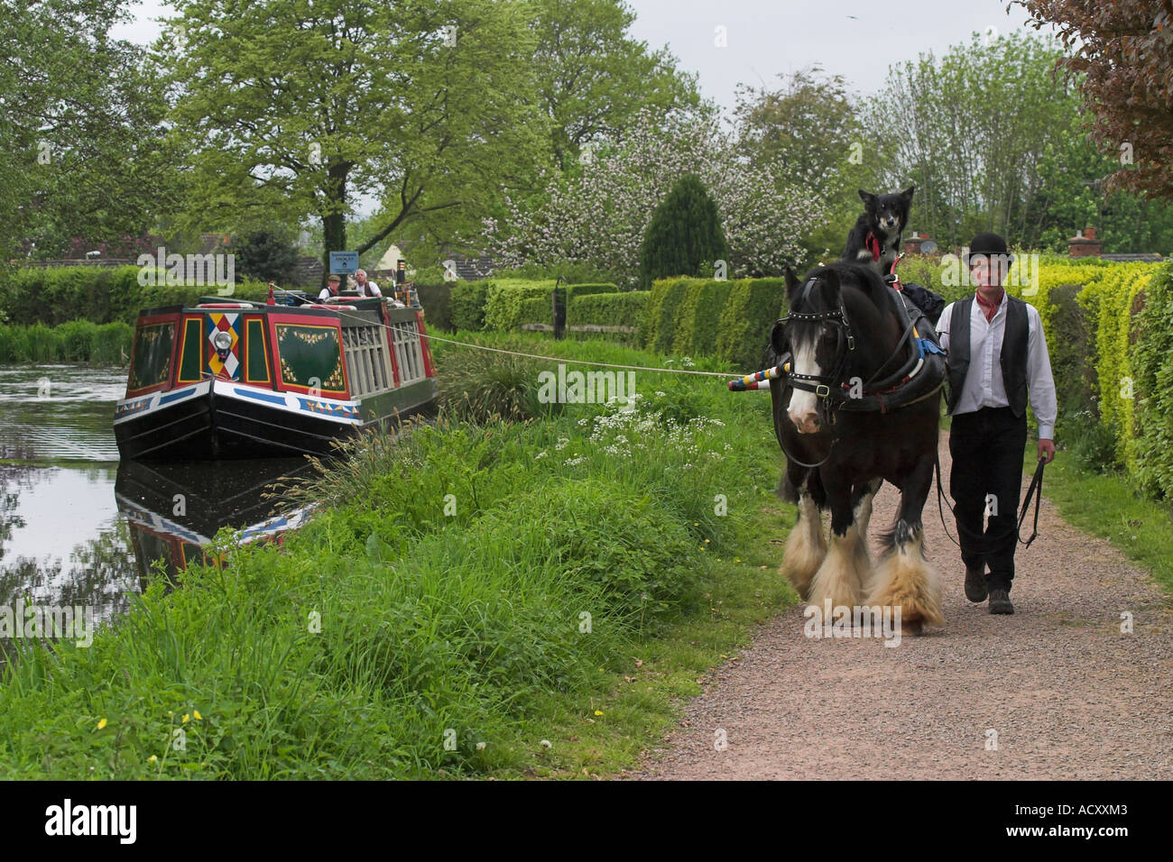 a Horse Drawn Barge On The Grand Western Canal Tiverton Devon England Stock Photo 7570882 Alamy