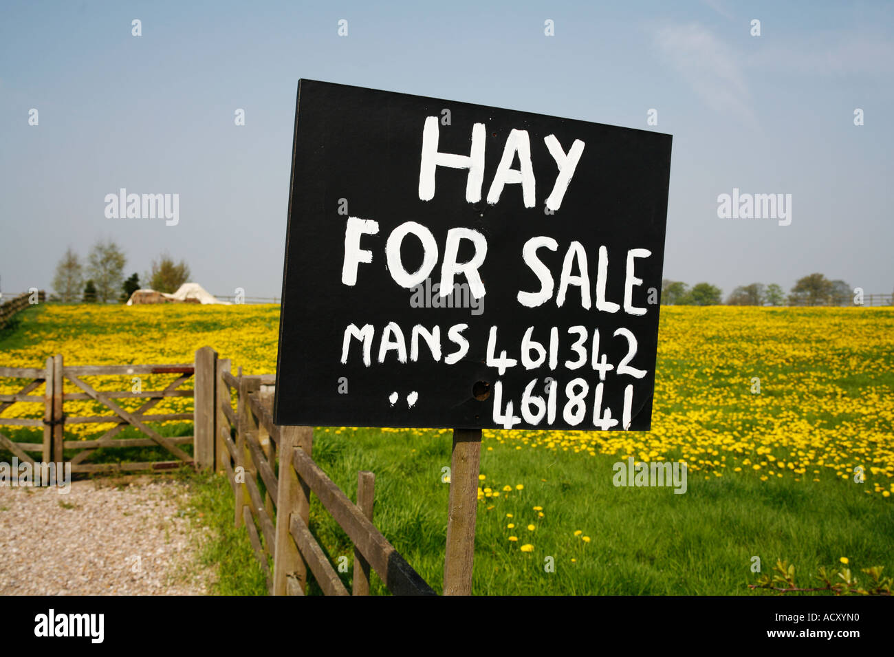 Hand painted Sign Advertising Hay for Sale. Black board with white