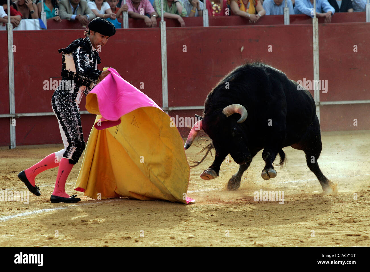 A Spanish matador during a bullfight Stock Photo - Alamy