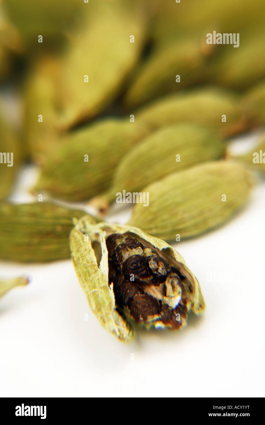 Green Cardamom Pods and seeds Stock Photo Alamy