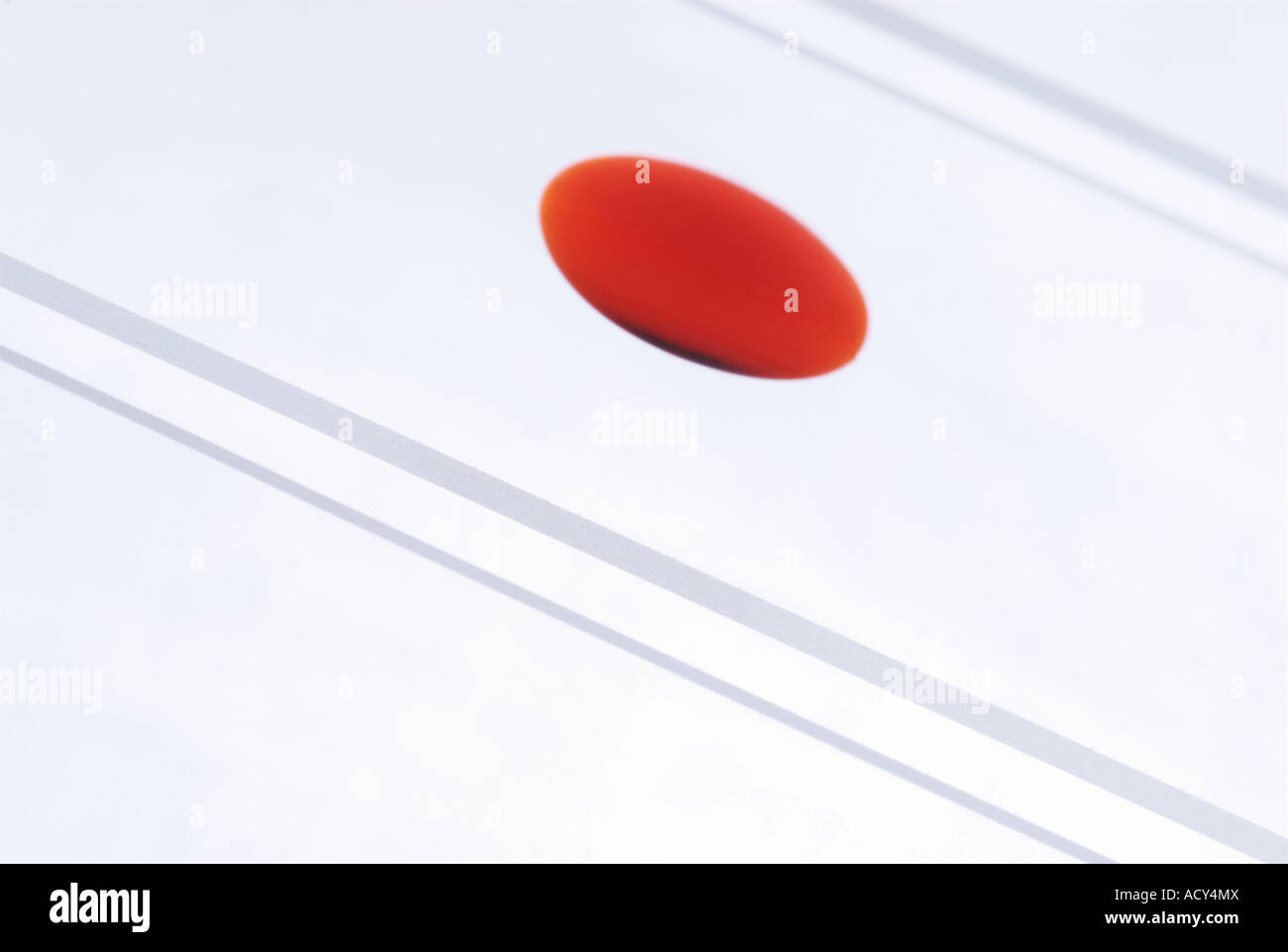 microscope slides with blood sample isolated on a white background with