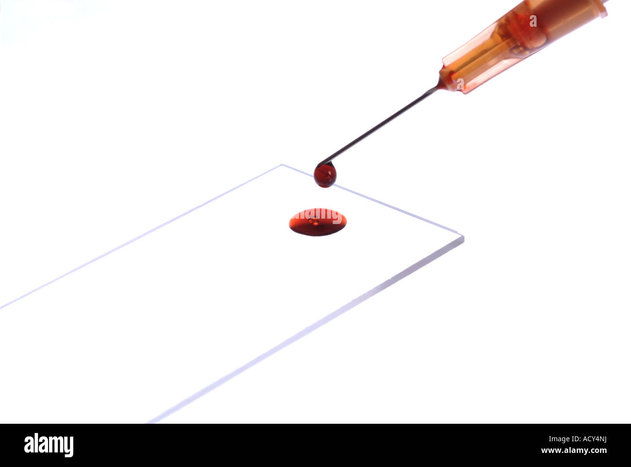 microscope slide, sample and hypodermic needle Stock Photo Alamy