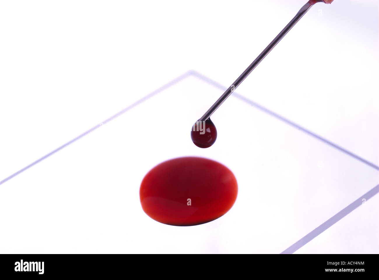 microscope slide, sample and hypodermic needle Stock Photo Alamy