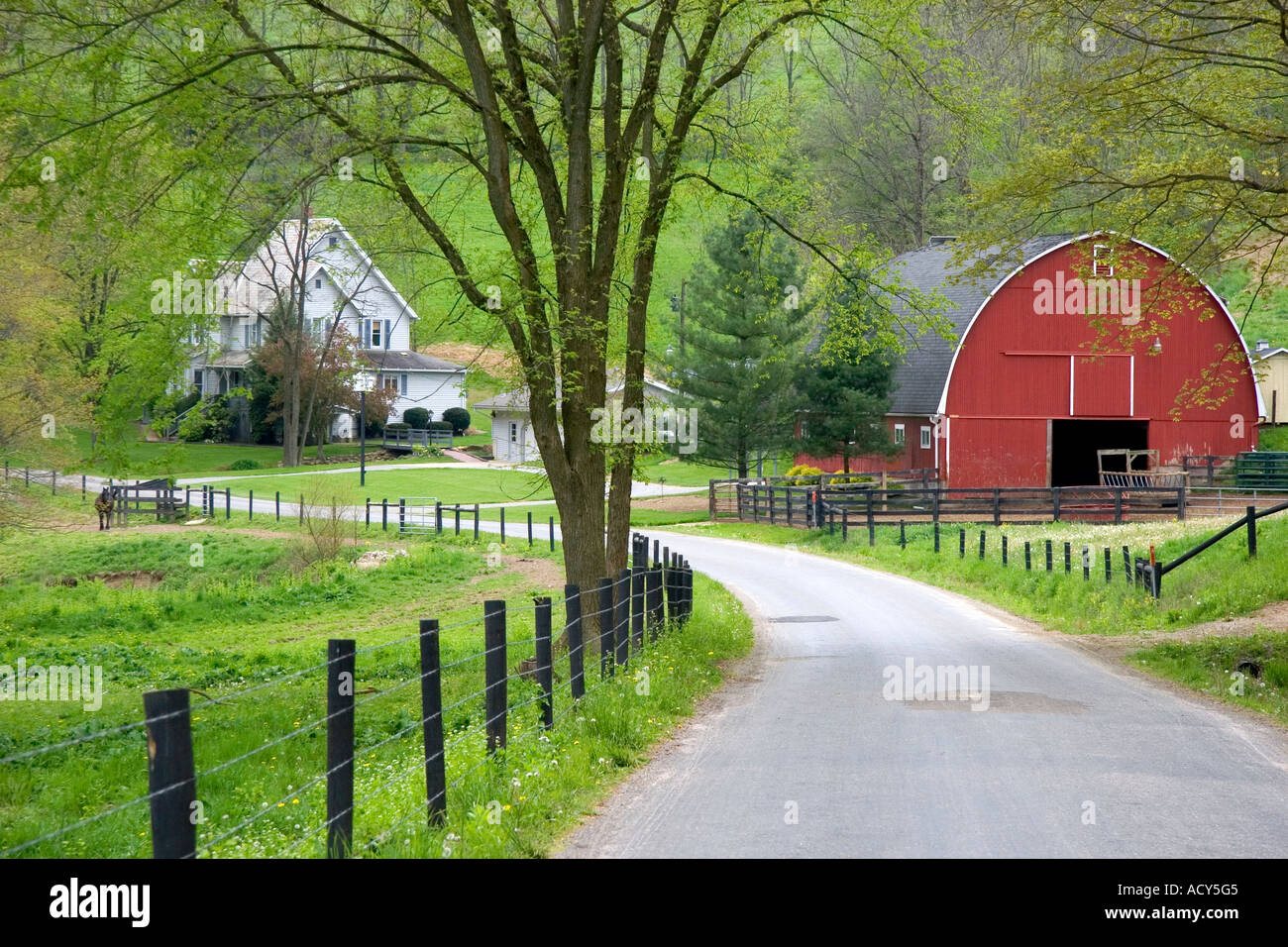 Red barn and farm house near Berlin, Ohio. Stock Photo