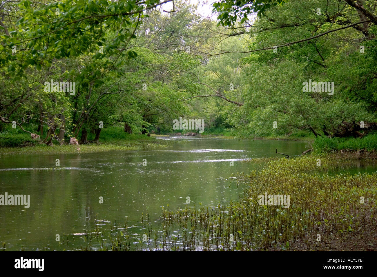 Big Darby Creek in the rain west of Columbus, Ohio Stock Photo Alamy