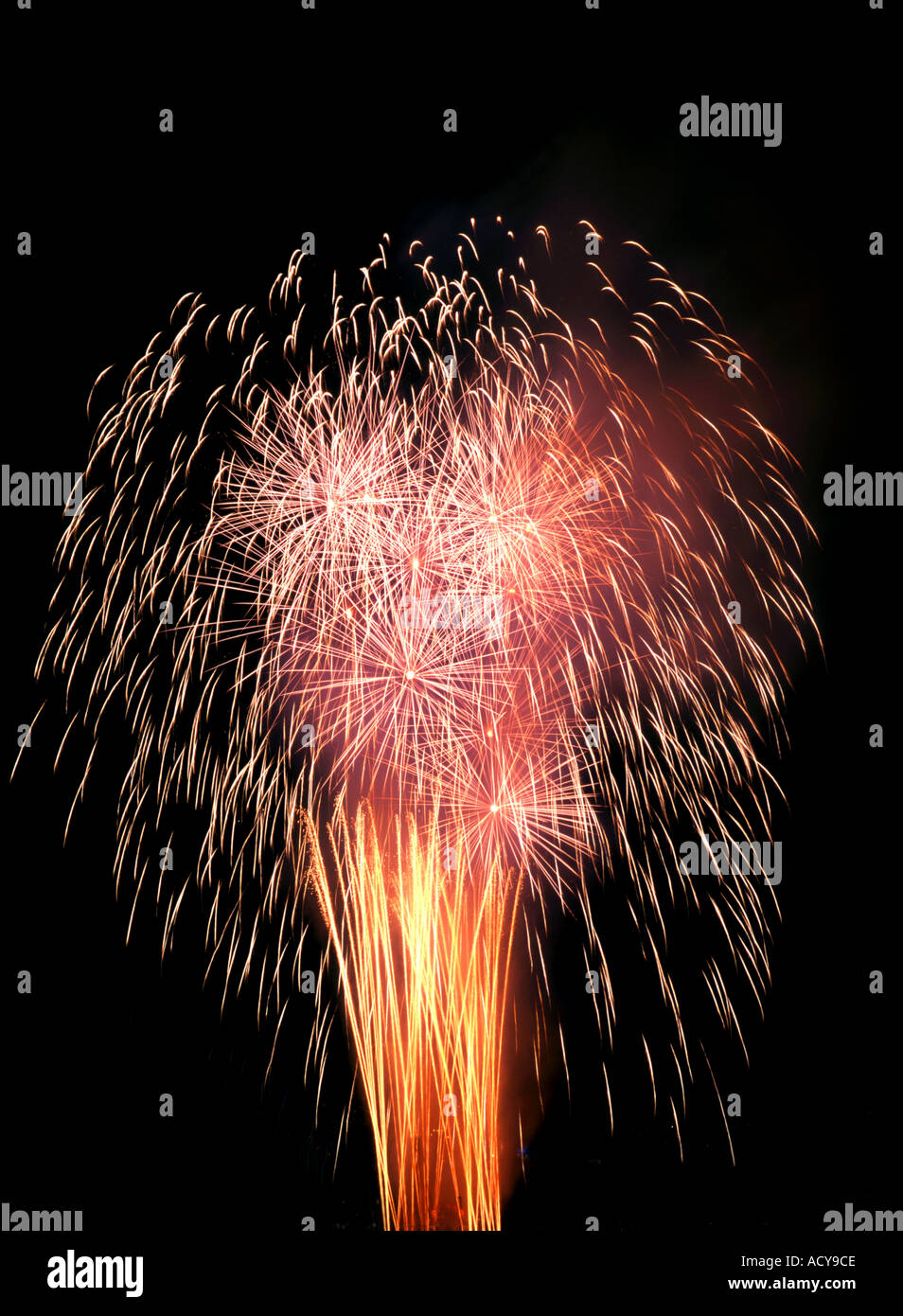 Firework at night dark sky Stock Photo