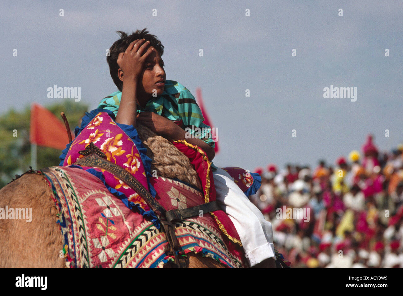 A RAJASTHANI BOY rides a CAMEL in front of a crowd at the PUSHKAR CAMEL ...