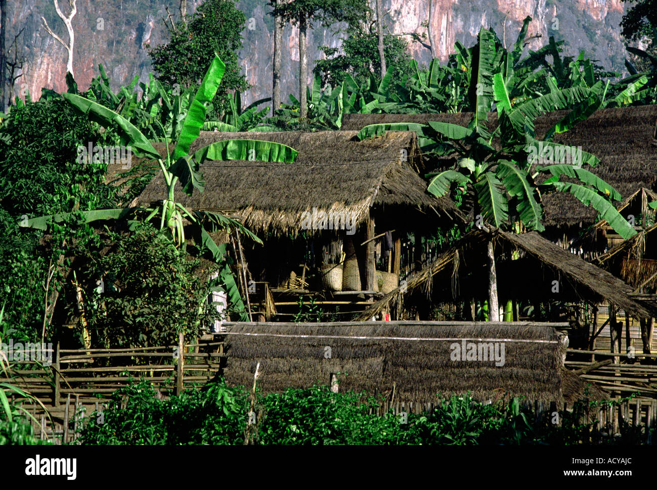 Eastern woodlands tribe hires stock photography and images Alamy