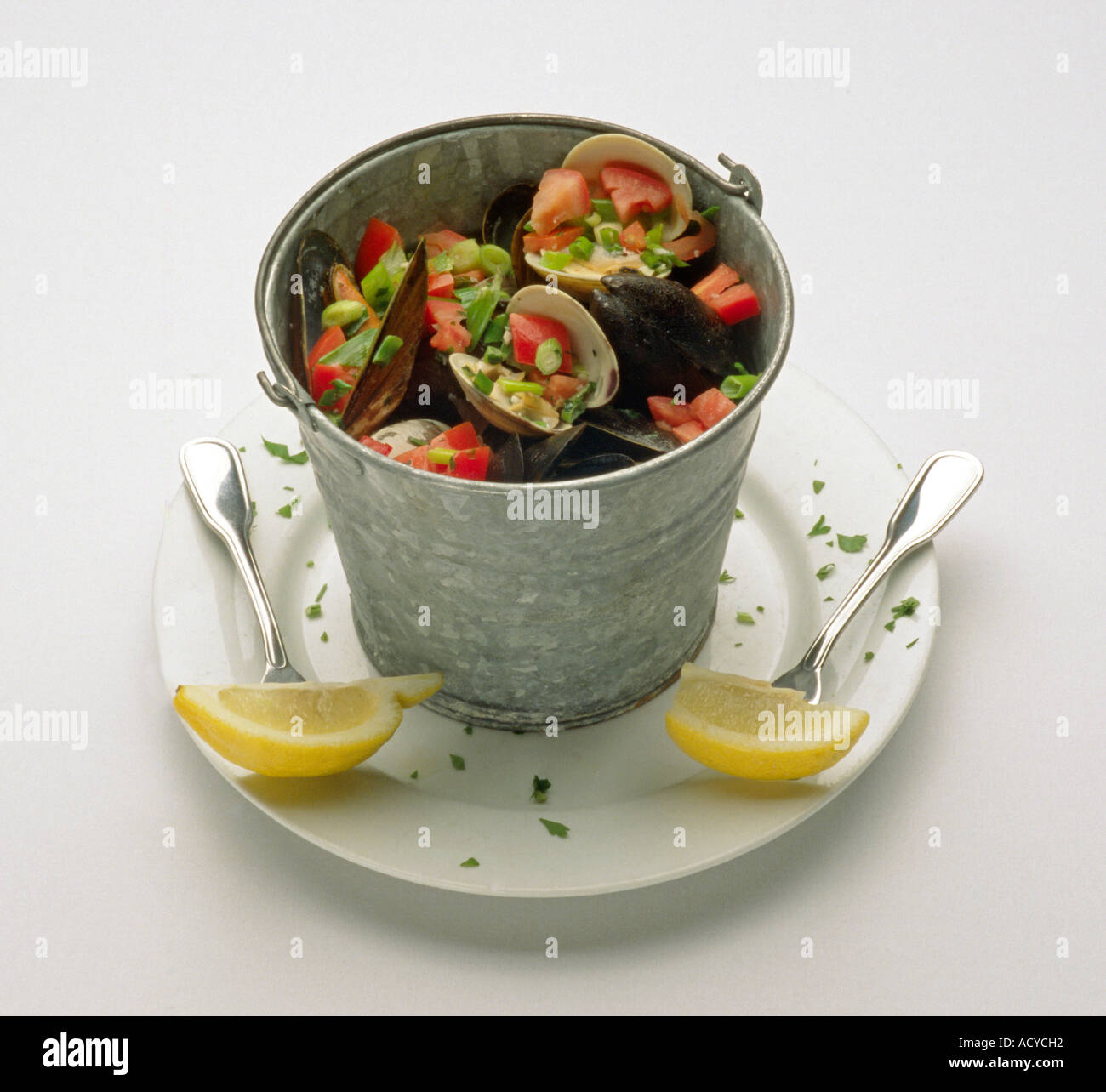 Bucket of Steamed CLAMS Stock Photo 7573521 Alamy