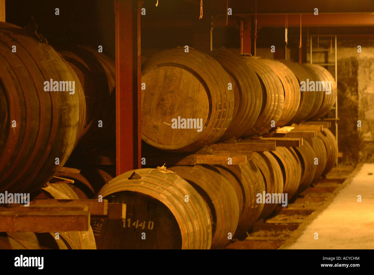 whiskey barrels in cellar Stock Photo