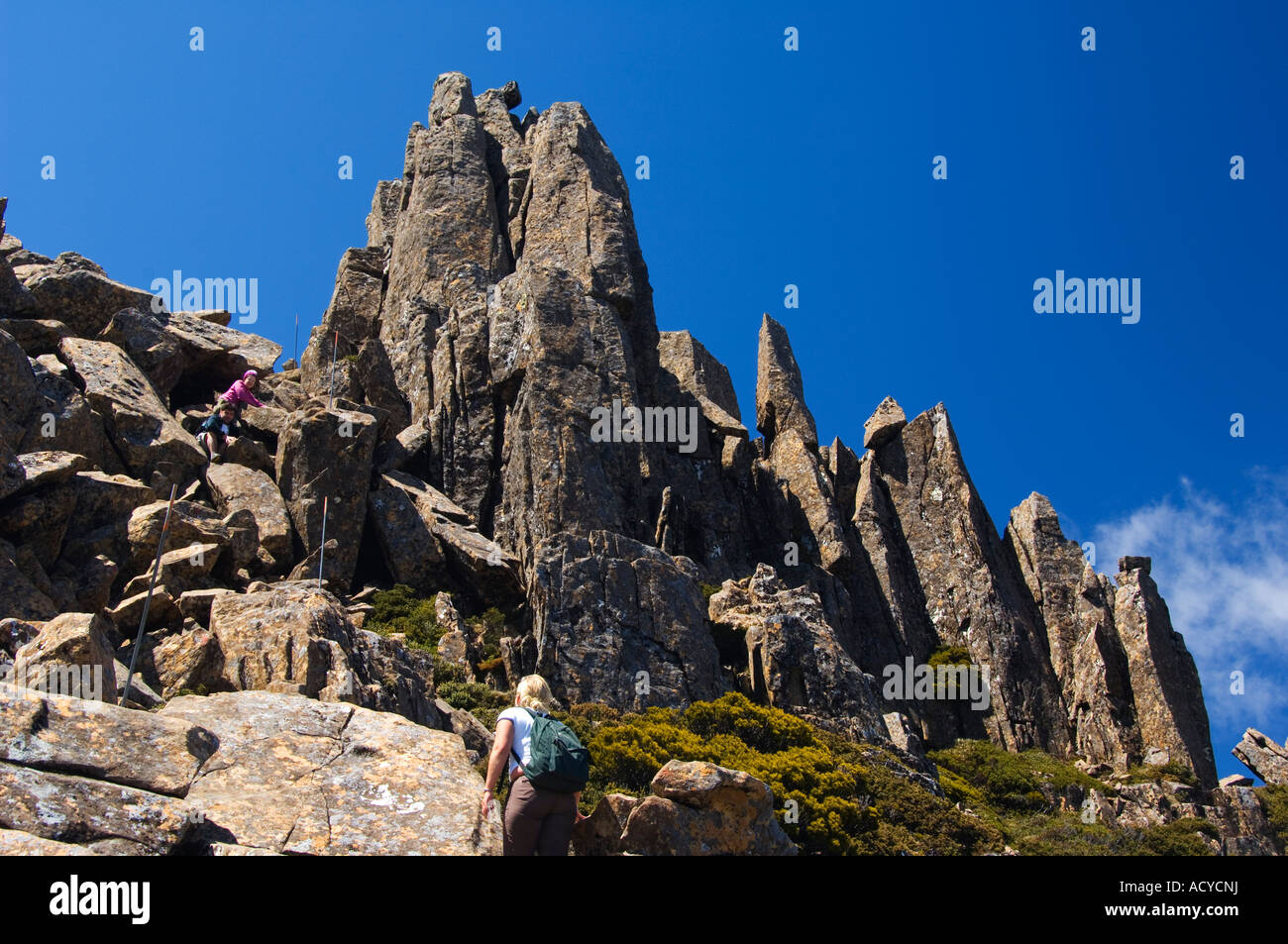 Australia Tasmania Cradle Mountain Lake St Clair National Park Overland