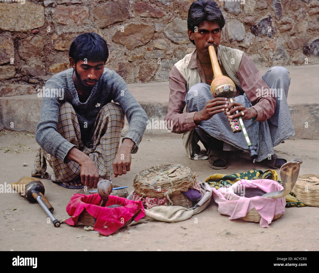 SNAKE CHARMERS and KING COBRAS perform on the streets DELHI INDIA Stock Photo